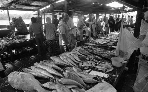 PH04_26062015_PASAR_TANI