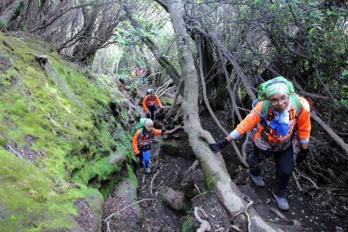 PH04_26072015_KERINCI