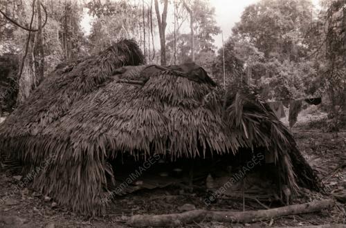 SUKU KAUM ASLI BATEK KUALA TAHAN
