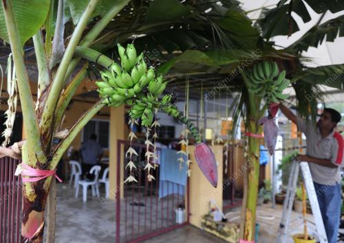 PH04_28012012_THAIPUSAM
