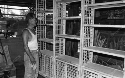 PH04_28012015_ROTAN