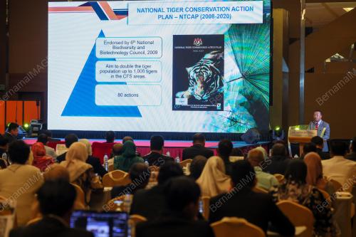 DATUK ABDUL KADIR ABU HASHIM