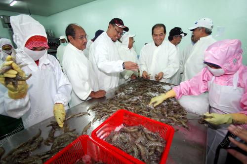 PH05_03062016_UDANG