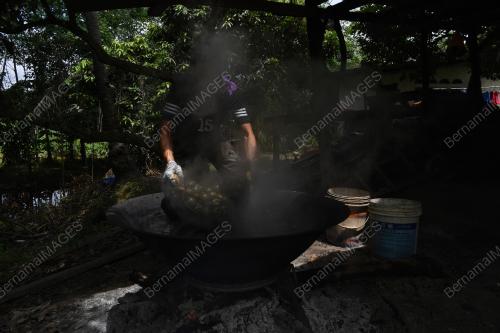 BUAH KABUNG LARIS BULAN PUASA