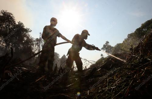 KEBAKARAN HUTAN