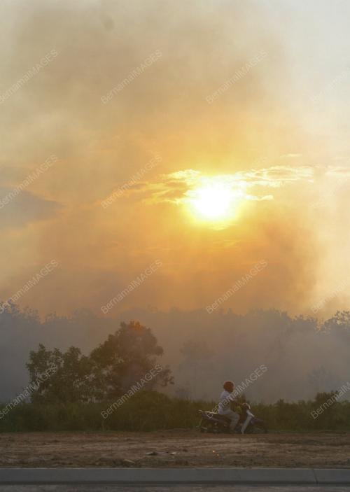 HUTAN TERBAKAR