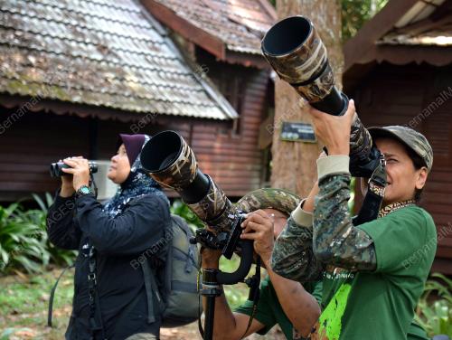PH05_07032016_BIRD_COUNT
