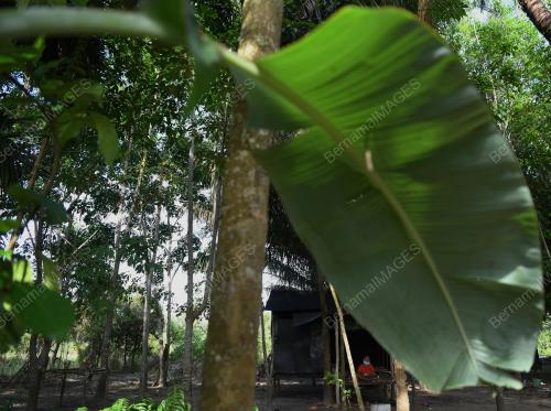 ORANG ASLI PERINTAH KAWALAN PERGERAKAN COVID-19