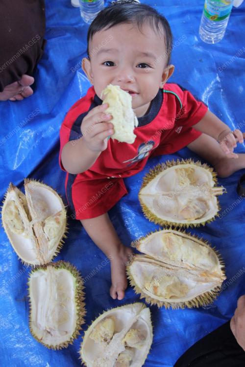 PH05_08012012_DURIAN