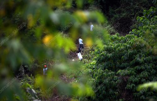 PH05_10122017_HIJAU_BN201712093771