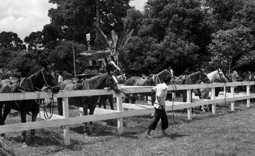 PH05_14072015_POLO_ANTARABANGSA