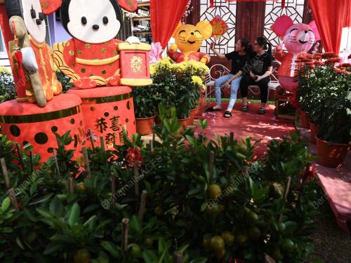 TAHUN BARU CINA