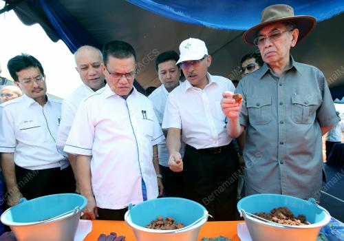 PH05_17082015_JUNAIDI_BAUKSIT