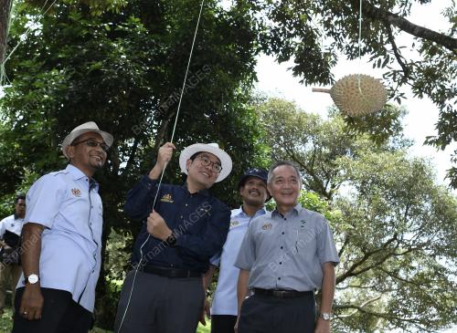 PH05_19082019_DURIAN_BN201908168190