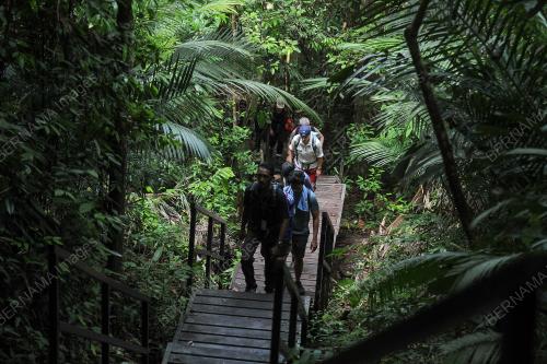 TAMAN NEGARA PAHANG