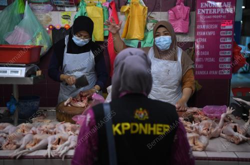 HARGA AYAM