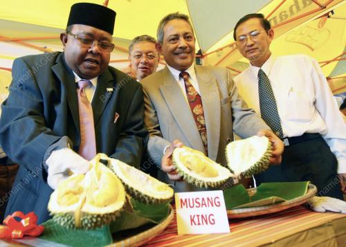 TAN MOHD AMINUDDIN ISHAK