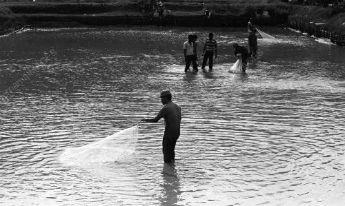 PH05_24062019_PROJEK_IKAN