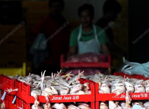 PH05_25072013_AYAM