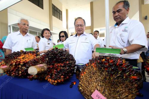 TAN SRI BERNARD DOMPOK