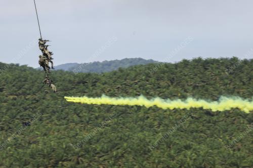 EKSESAIS JUNGLE FALCON TDM, UAELFÃŠ