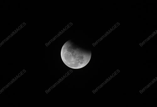 SUPER FLOWER BLOOD MOON