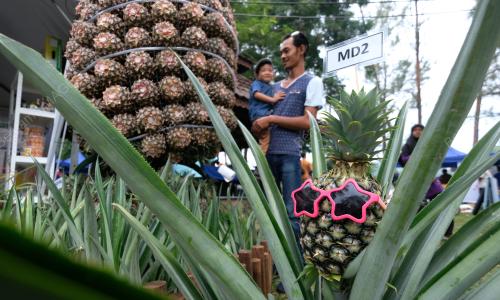 PH05_27072019_PELADANG