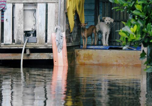 PH05_27122012_BANJIR