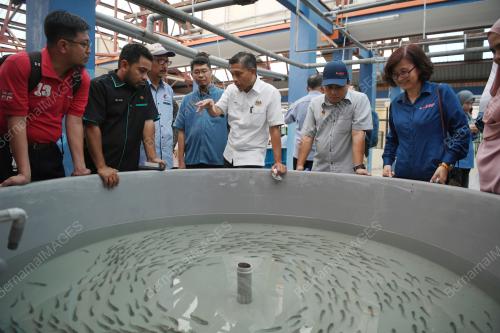 DATUK MUNIR MOHD NAWI
