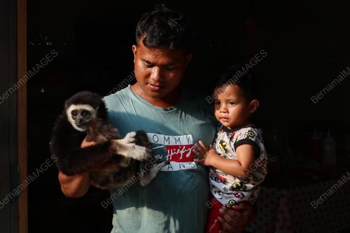 KAMPUNG ORANG ASLI TEMPAT PERSINGGAHAN SEEKOR UNGKA