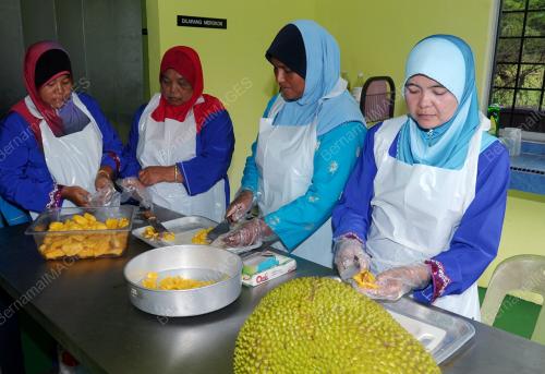 PH05_30102013_NANGKA_MADU