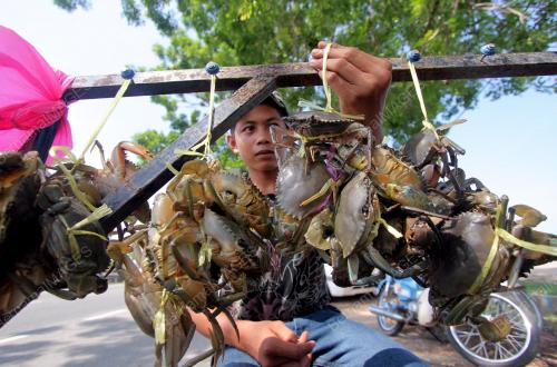 PH06_04062014_KETAM