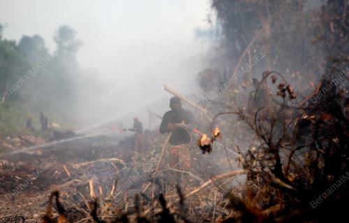 KEBAKARAN HUTAN