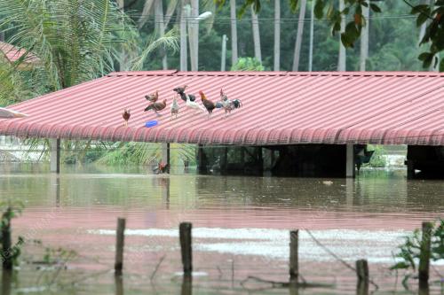 PH06_06012015_BANJIR