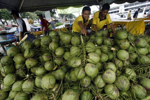 KELAPA MUDA