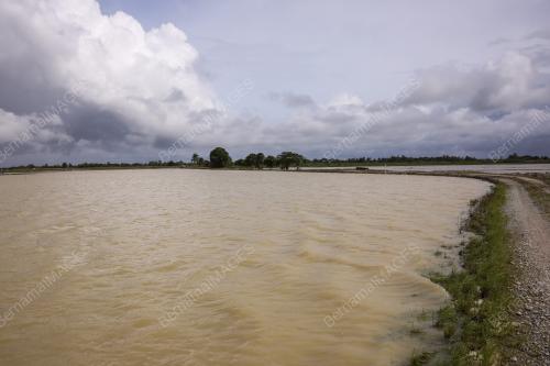 PESAWAH KERUGIAN AKIBAT BANJIR