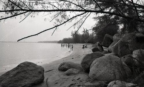 PH06_12012015_PANTAI_TERUNTUM