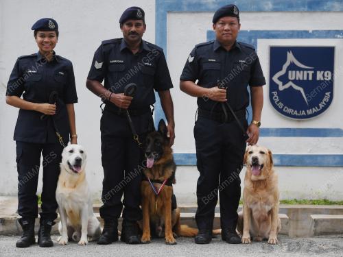 ANJING K9 POLIS PAHANG