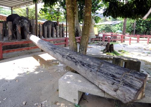 PH06_12052017_BANJIR