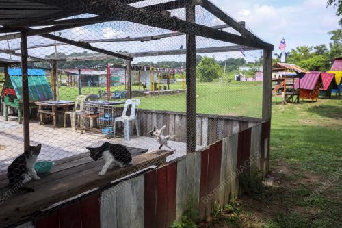 PULAU KUCING