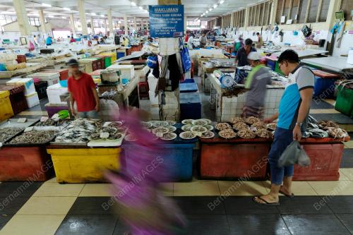 PH06_12062019_HARGA
