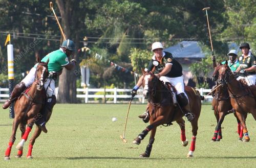 POLO