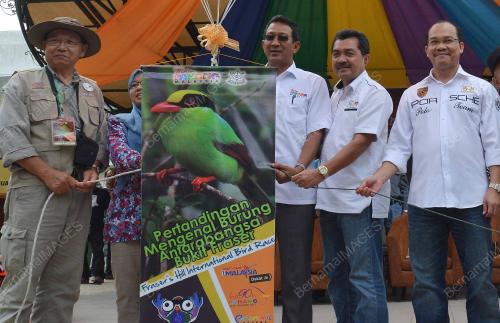 PH06_14052016_MENGENAL_BURUNG