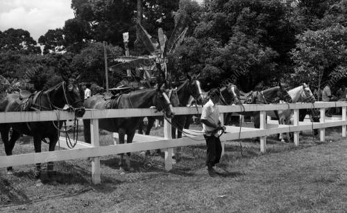PH06_14072015_POLO_ANTARABANGSA