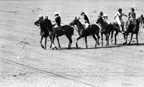 PH06_14072015_POLO