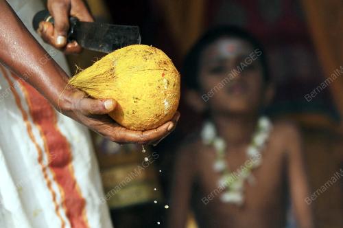 PH06_17012014_THAIPUSAM
