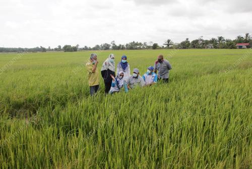 TS DR. SITI A'IASAH HASHIM