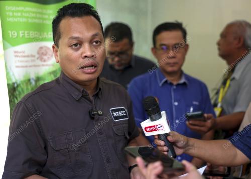 NIK NAZMI NIK AHMAD