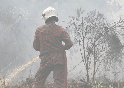 KEBAKARAN HUTAN