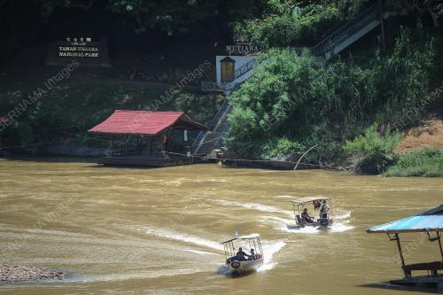 TAMAN NEGARA PAHANG